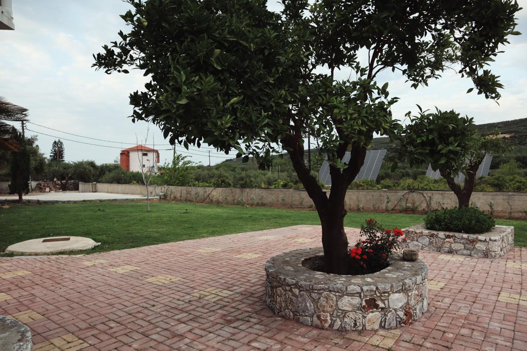 Villa Elea Apartments Spiliá 외부 사진